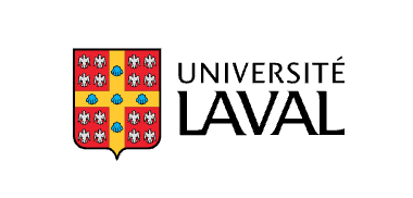 Poste de professeure ou de professeur en cinéma et culture numérique (Université Laval, Québec)