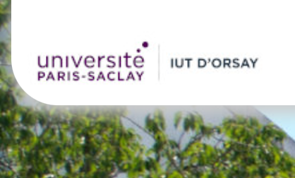 Charge de cours en culture et communication, IUT d'Orsay - Université Paris Saclay