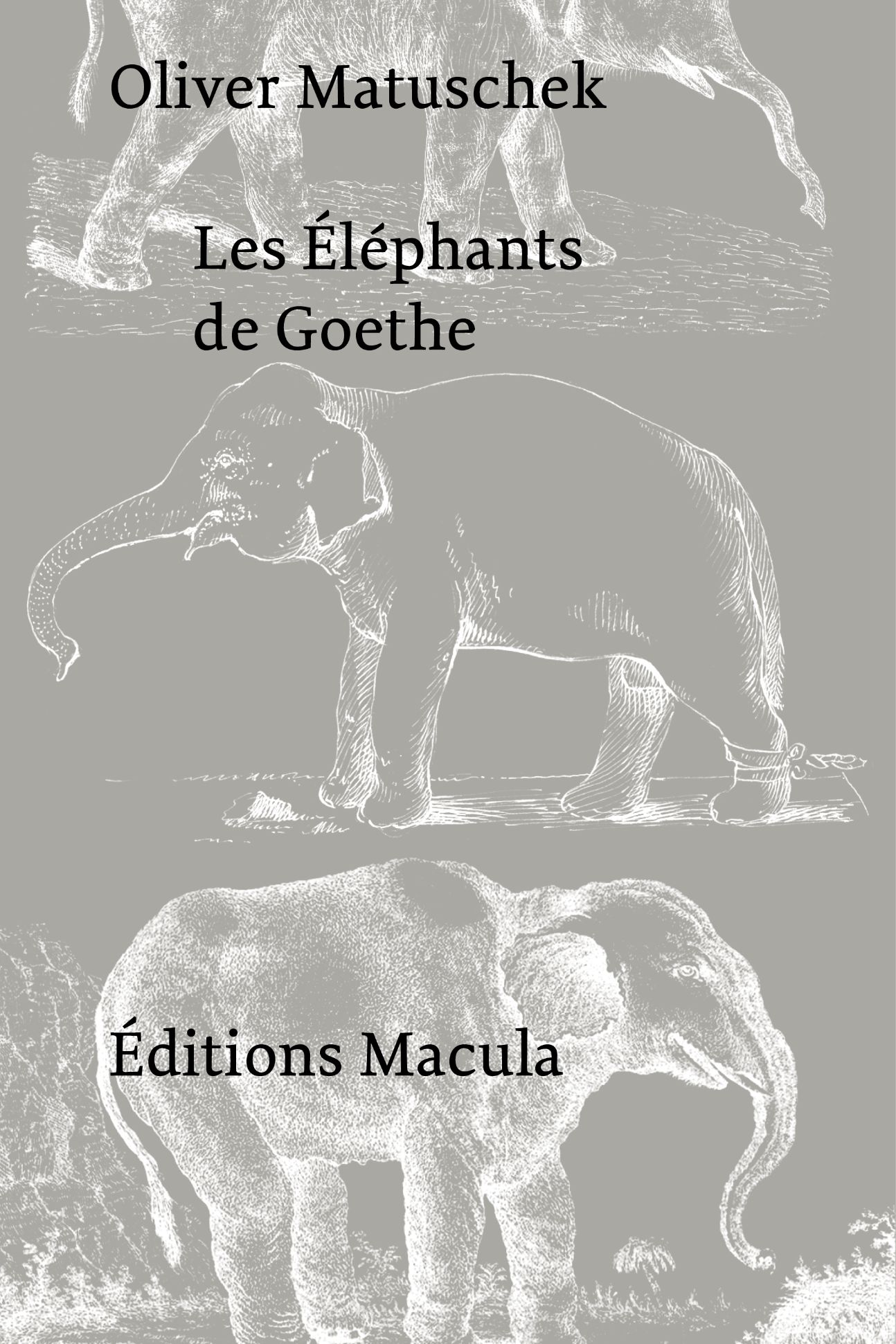 Oliver Matuschek, Les éléphants de Goethe